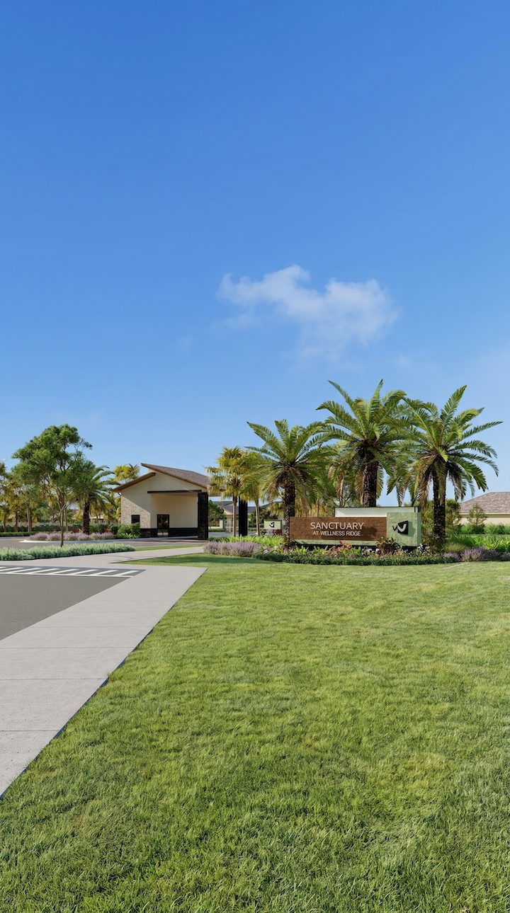 Stone neighborhood entrance sign and palm trees for Sanctuary at Wellness Ridge, a 55+ community in Clermont, Florida.